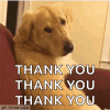 dog-thank you.gif